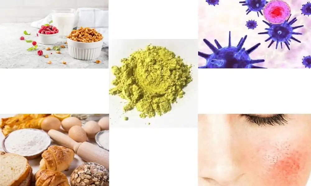 Kaempferol Powder: Benefits and Applications